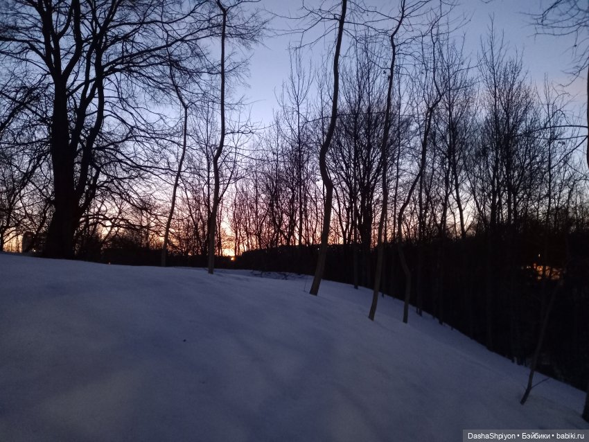 🏞️Мартовский Голосов овраг🪨❄️