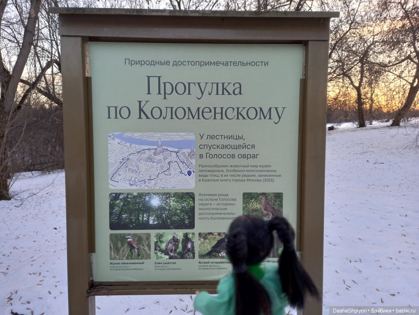 🏞️Мартовский Голосов овраг🪨❄️