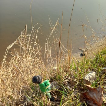 🌳Кусочек лета🏝️☀️