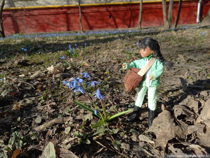 🌱 Весенний выходной🌾🌄 | Бэйбики 🌱 Весенний выходной🌾🌄 — Гибриды шарнирных кукол (не БЖД): подбор тела (фото 2)