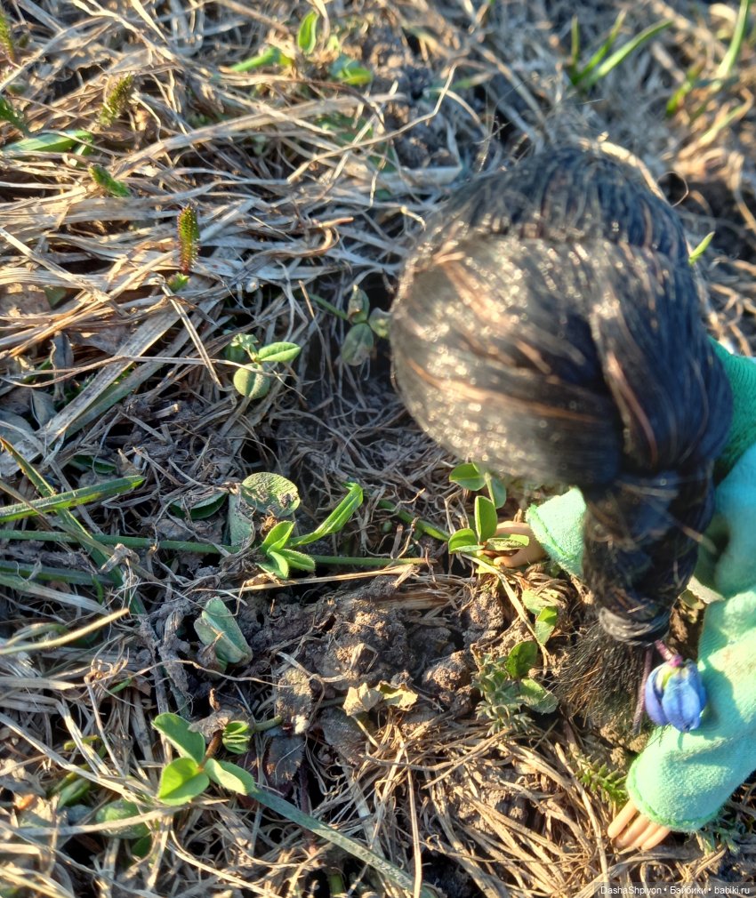 🌱 Весенний выходной🌾🌄 | Бэйбики 🌱 Весенний выходной🌾🌄 — Гибриды шарнирных кукол (не БЖД): подбор тела