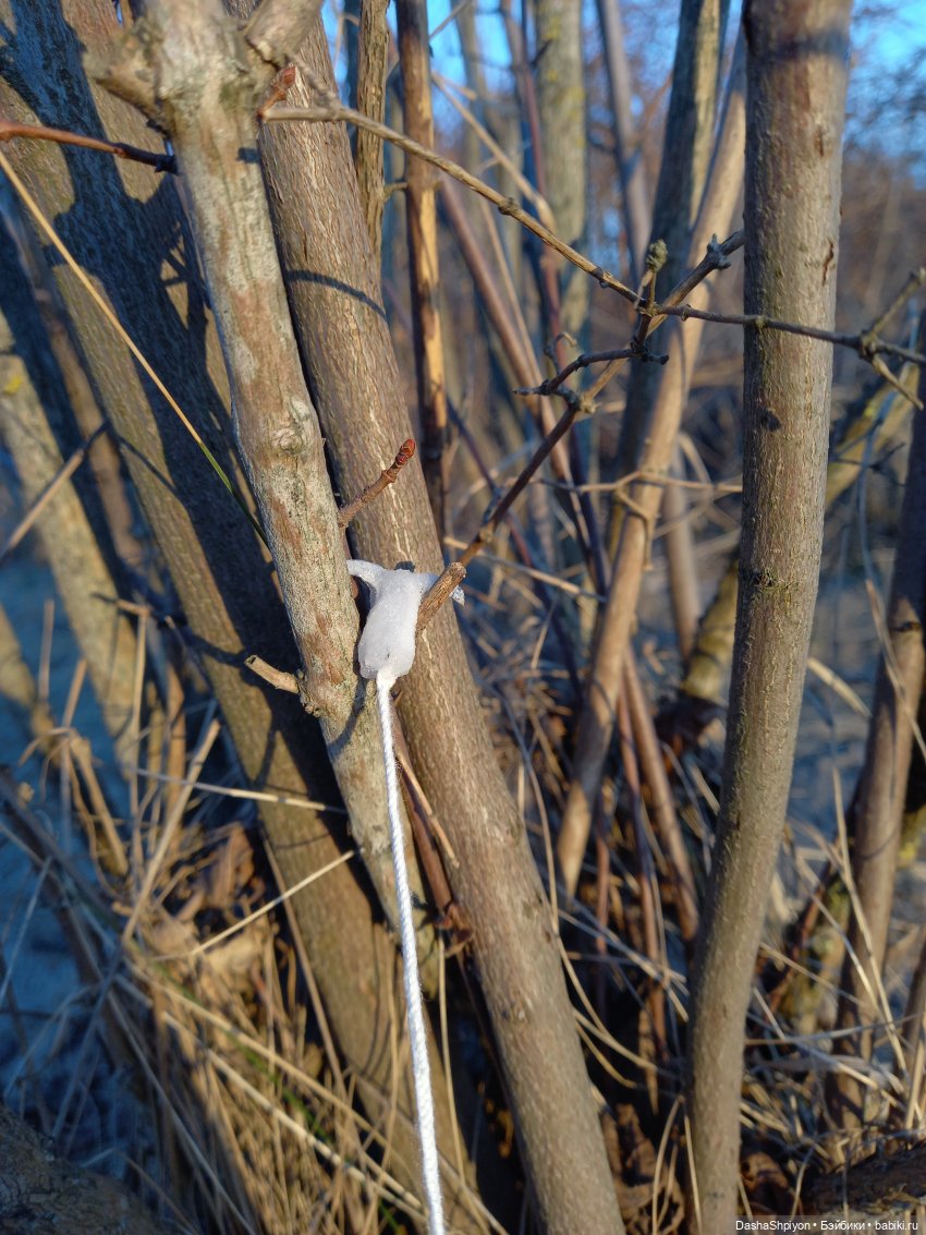 🌱 Весенний выходной🌾🌄 | Бэйбики 🌱 Весенний выходной🌾🌄 — Гибриды шарнирных кукол (не БЖД): подбор тела
