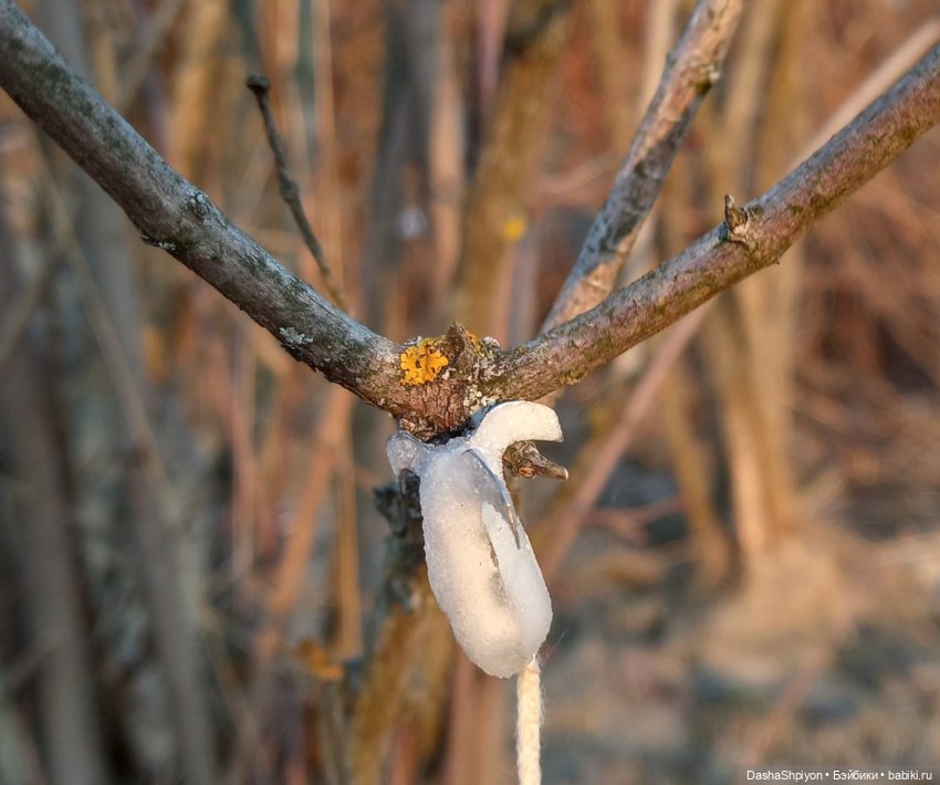 🌱 Весенний выходной🌾🌄 | Бэйбики 🌱 Весенний выходной🌾🌄 — Гибриды шарнирных кукол (не БЖД): подбор тела