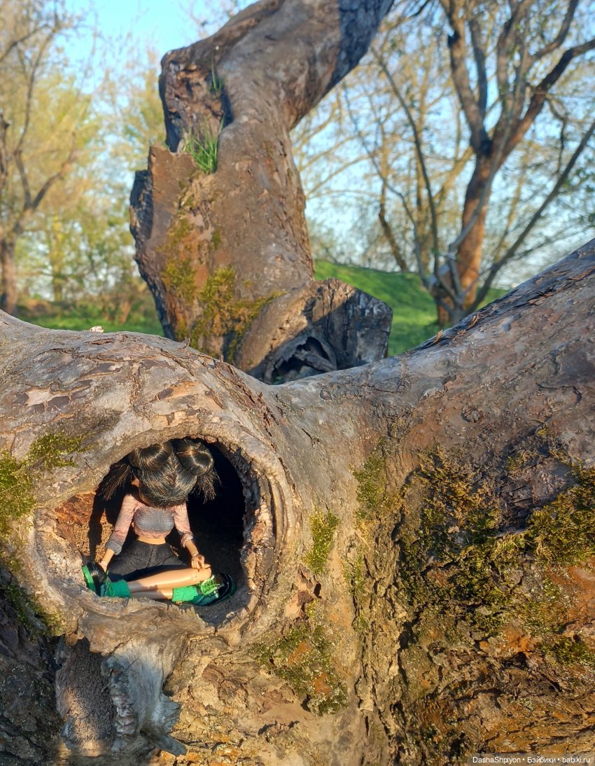 🌳 Прогулка со скейтбордом 🛹☀️ (фото 5)