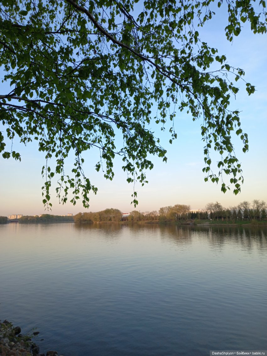 🌳 Прогулка со скейтбордом 🛹☀️