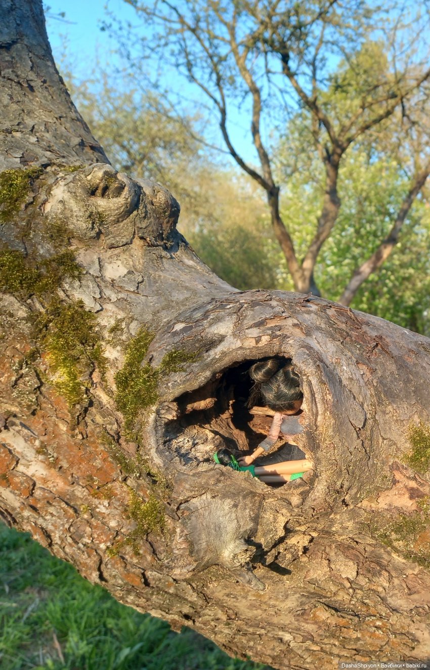 🌳 Прогулка со скейтбордом 🛹☀️ (фото 6)