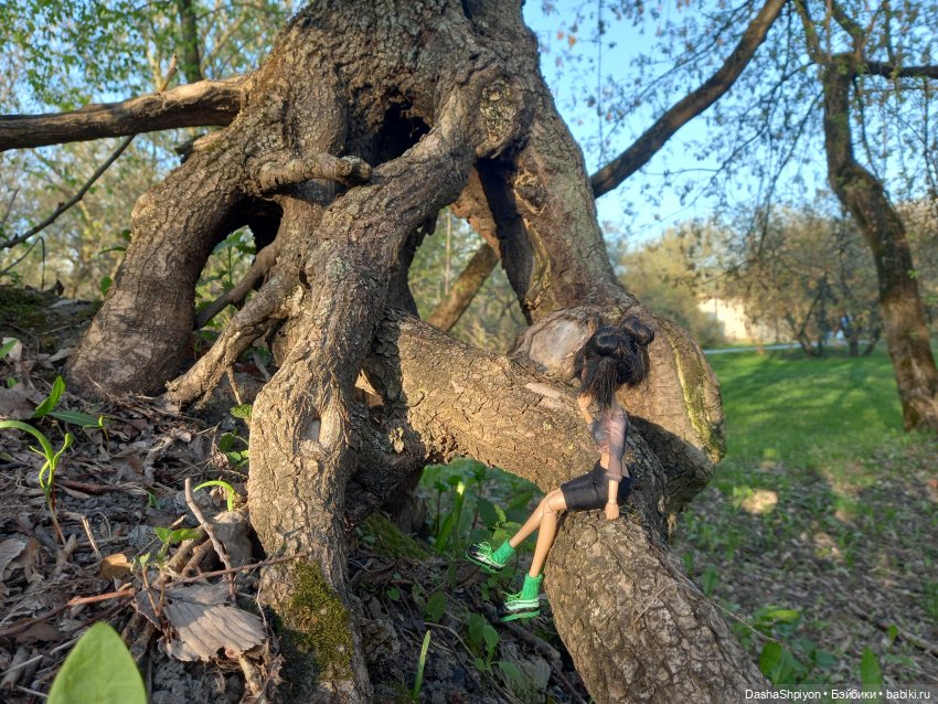 🌳 Прогулка со скейтбордом 🛹☀️ (фото 4)