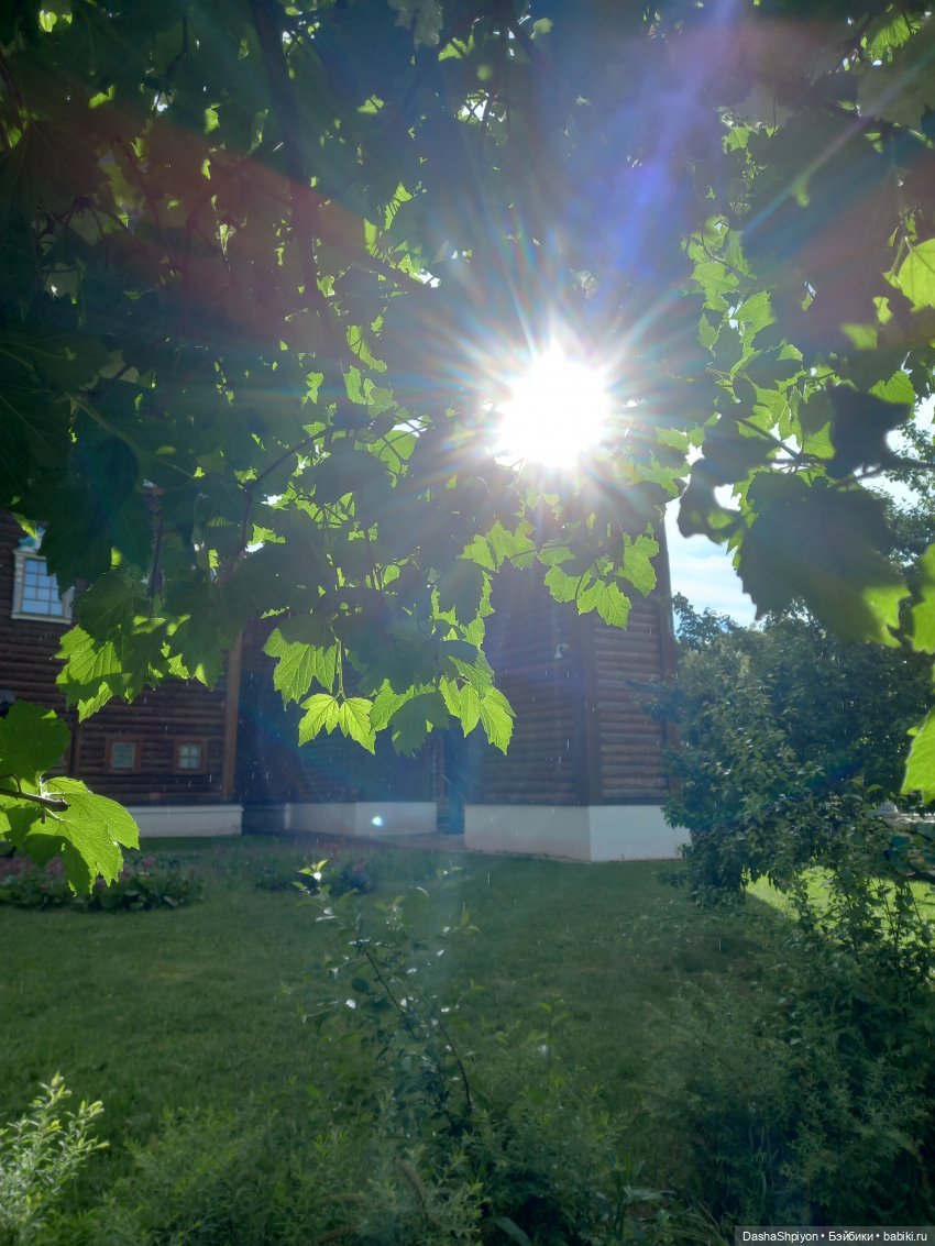 🌿Солнце после дождя🌦️💮 — Гибриды шарнирных кукол (не БЖД): подбор тела