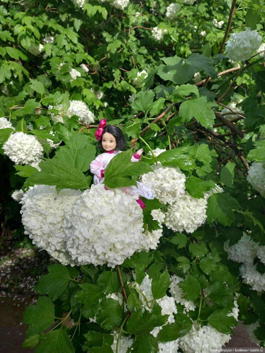 🌿Солнце после дождя🌦️💮 — Гибриды шарнирных кукол (не БЖД): подбор тела