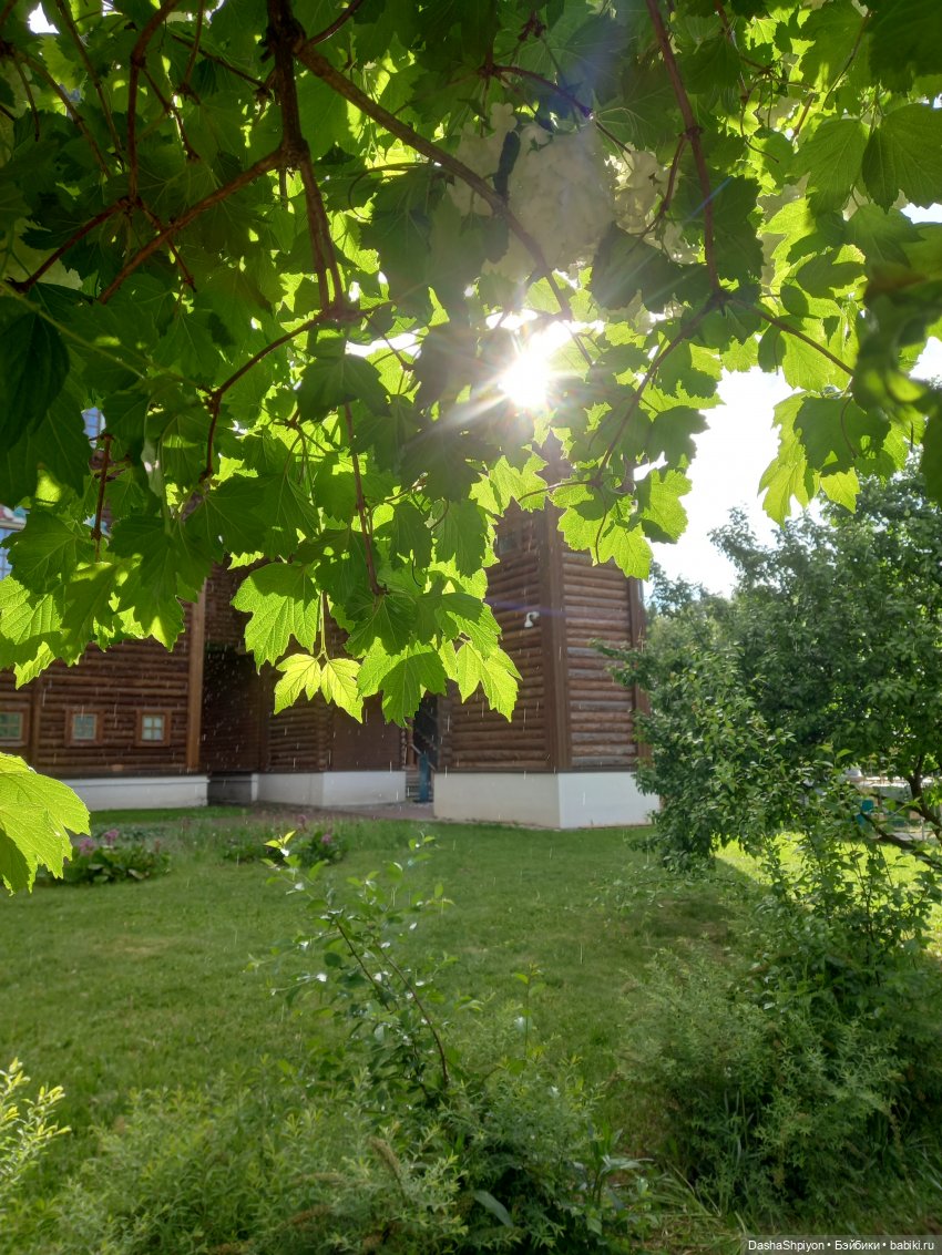 🌿Солнце после дождя🌦️💮 — Гибриды шарнирных кукол (не БЖД): подбор тела