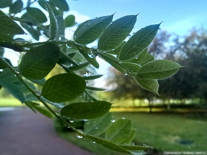 🌿Солнце после дождя🌦️💮 — Гибриды шарнирных кукол (не БЖД): подбор тела