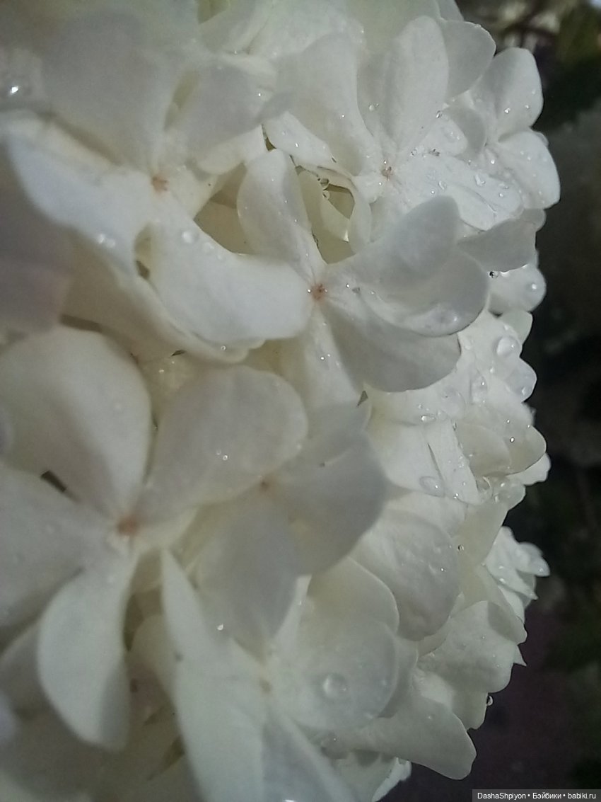 🌿Солнце после дождя🌦️💮 — Гибриды шарнирных кукол (не БЖД): подбор тела