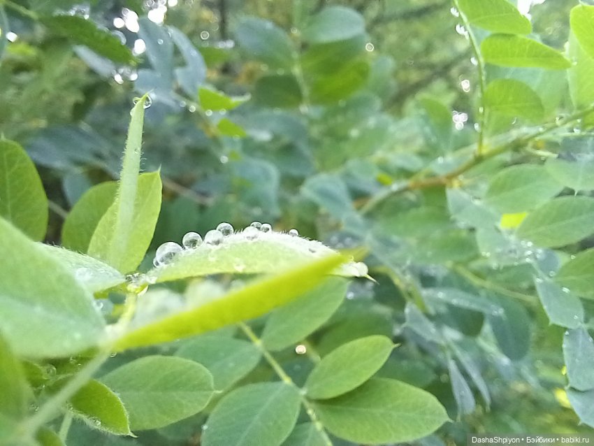 🌿Солнце после дождя🌦️💮 — Гибриды шарнирных кукол (не БЖД): подбор тела