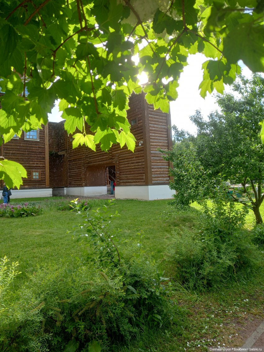 🌿Солнце после дождя🌦️💮 — Гибриды шарнирных кукол (не БЖД): подбор тела (фото 9)