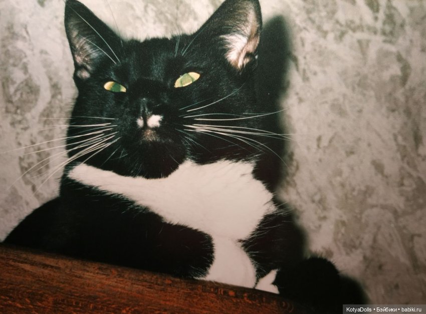 Возвращение к жизни — Ремонт и реставрация фарфоровых кукол: склейка