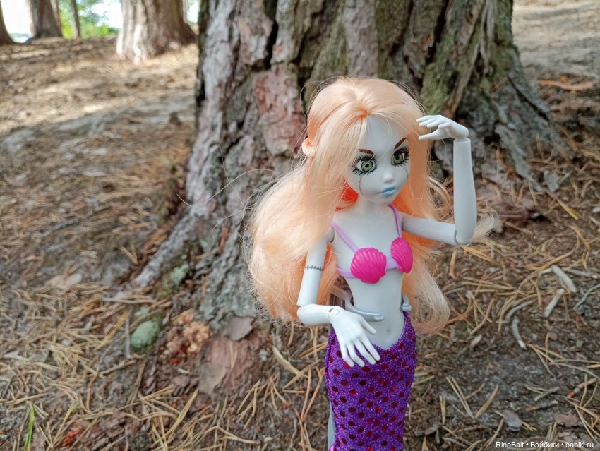 Поездка к озеру — Коллекции игровых кукол (Playline): фото полок (фото 4)