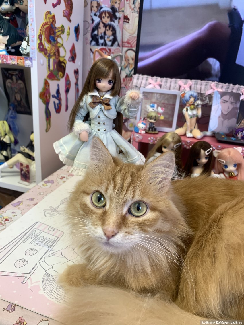 День рождение Юзухи — Куклы Azone (Азон) и тела Pure Neemo: фото (фото 4)