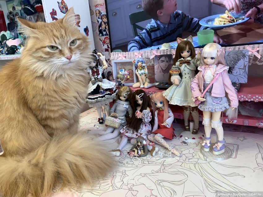 День рождение Юзухи — Куклы Azone (Азон) и тела Pure Neemo: фото (фото 6)