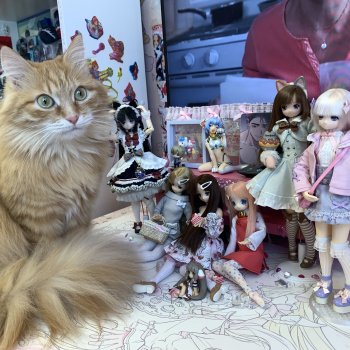 День рождение Юзухи!!