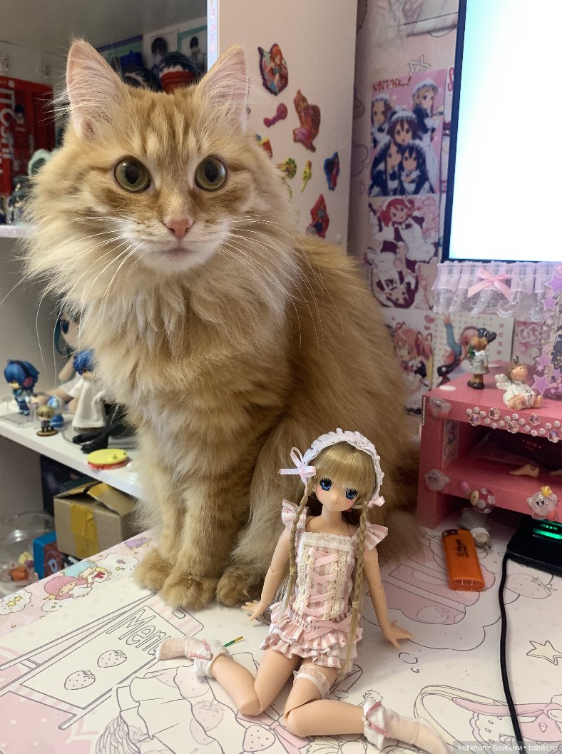 Обзор подарков на новый год и покупки в шопике (фото 3)