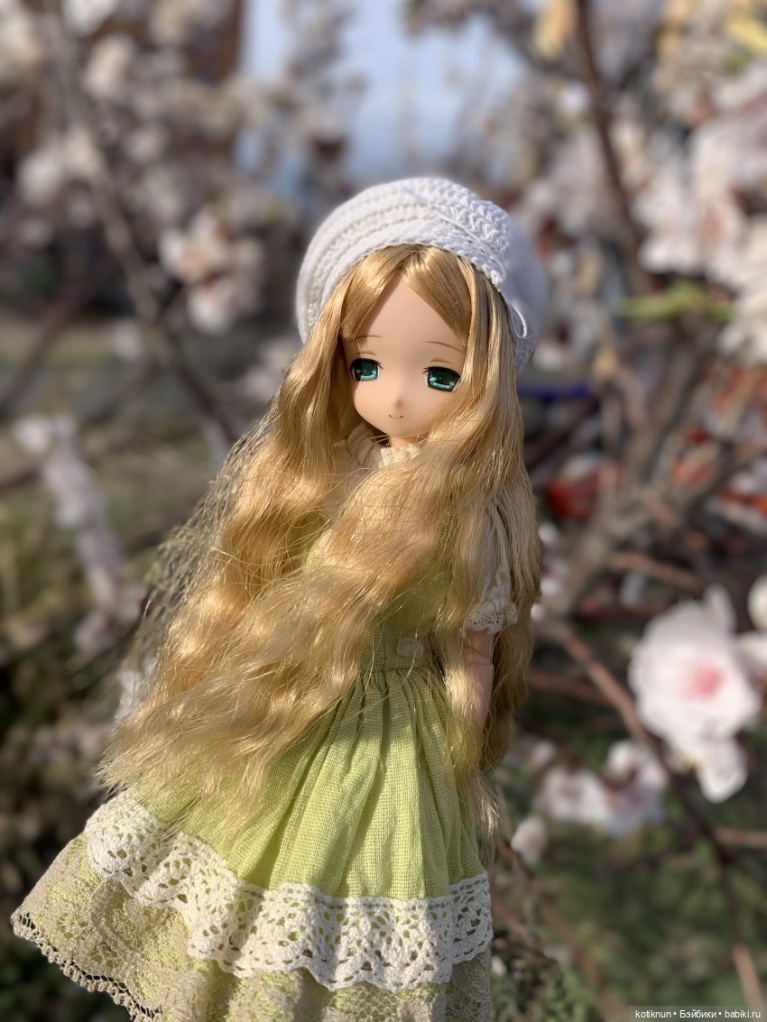 Забайкальская сакура и azone Миа (фото 7)