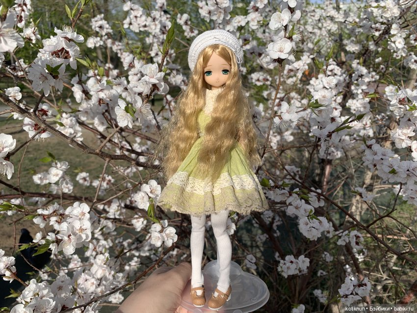 Забайкальская сакура и azone Миа (фото 4)