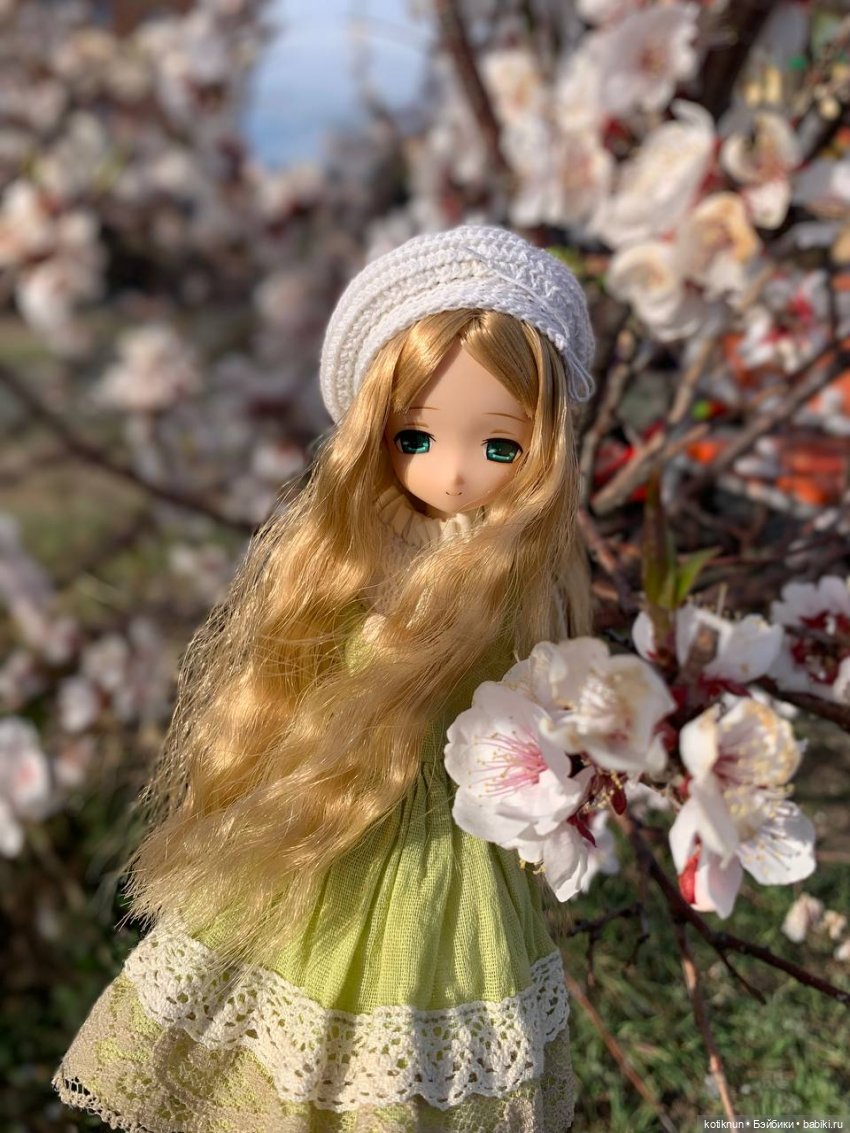 Забайкальская сакура и azone Миа