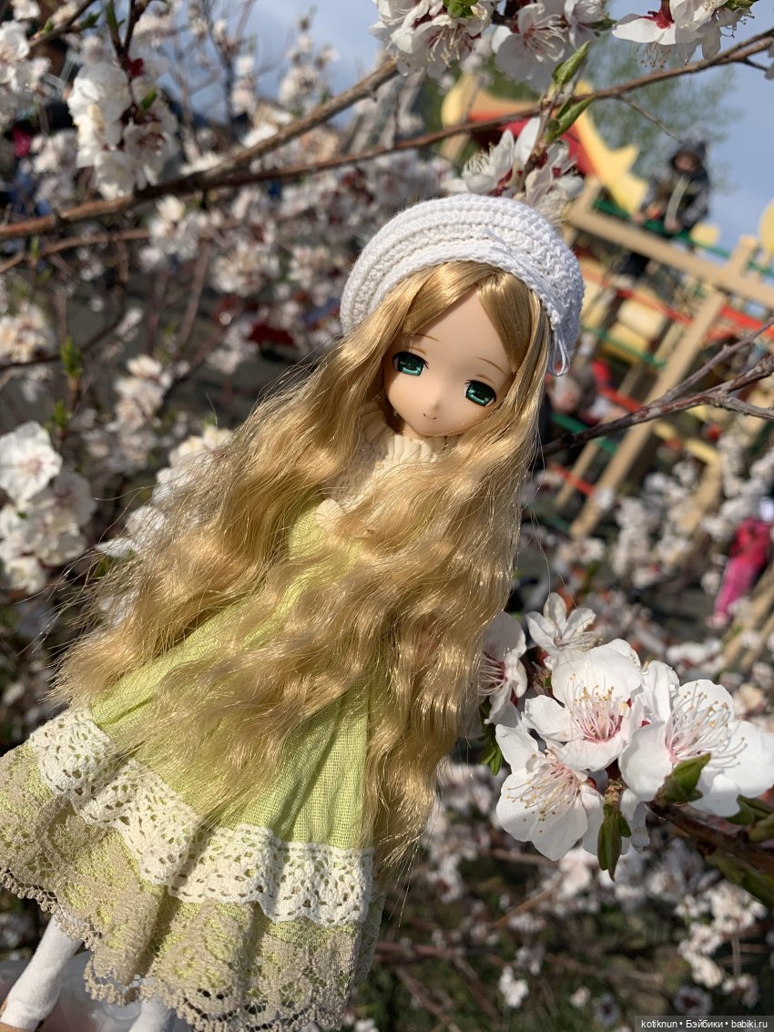 Забайкальская сакура и azone Миа (фото 9)