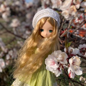 Забайкальская сакура и azone Миа