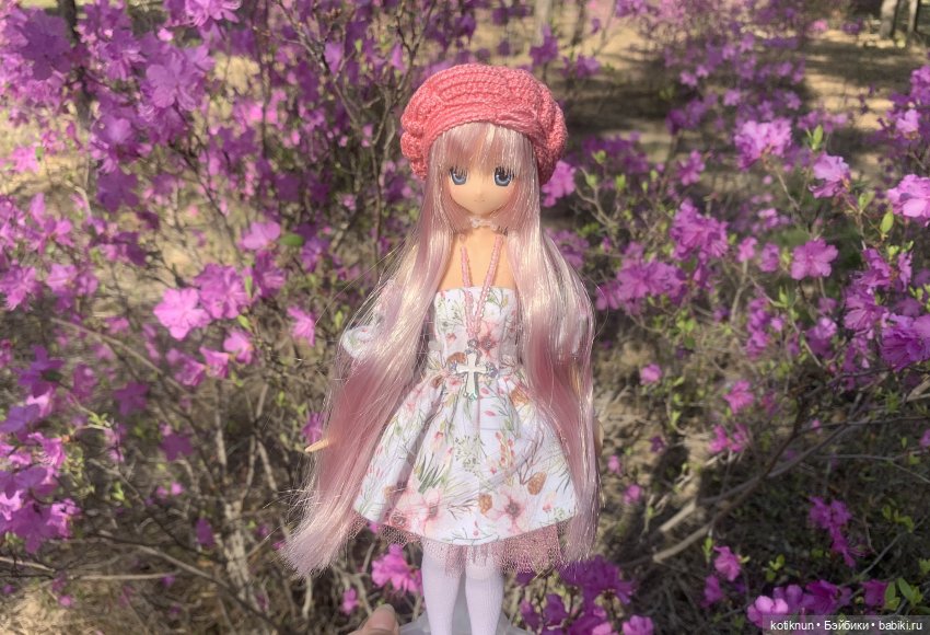 Читинский даурский багульник и azone Сара (фото 5)