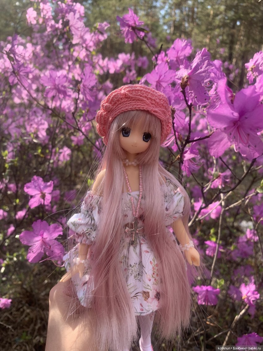 Читинский даурский багульник и azone Сара (фото 7)