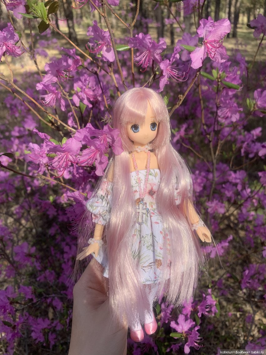 Читинский даурский багульник и azone Сара (фото 8)