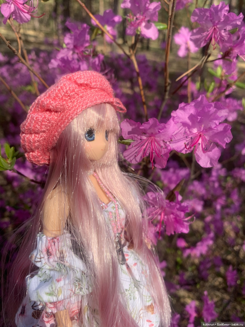 Читинский даурский багульник и azone Сара