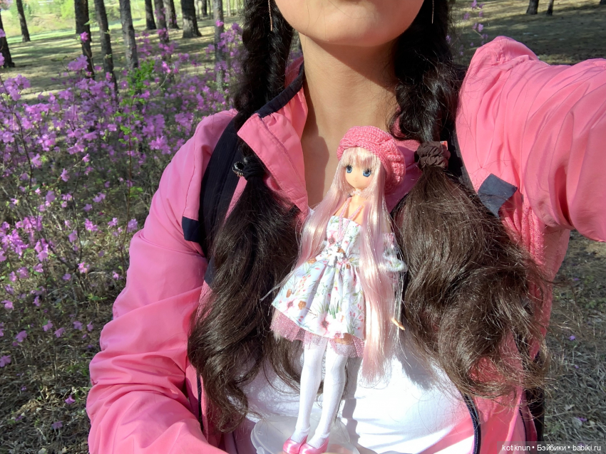 Читинский даурский багульник и azone Сара