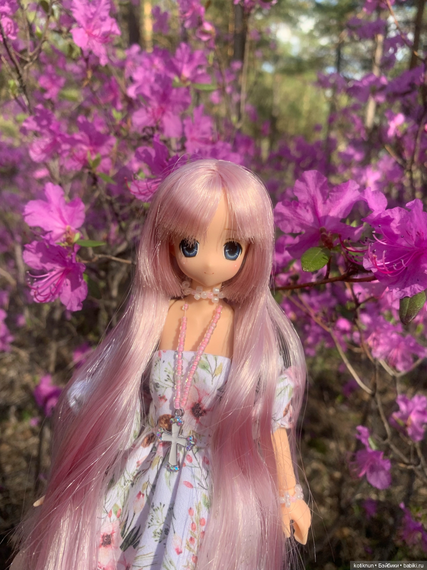 Читинский даурский багульник и azone Сара (фото 2)