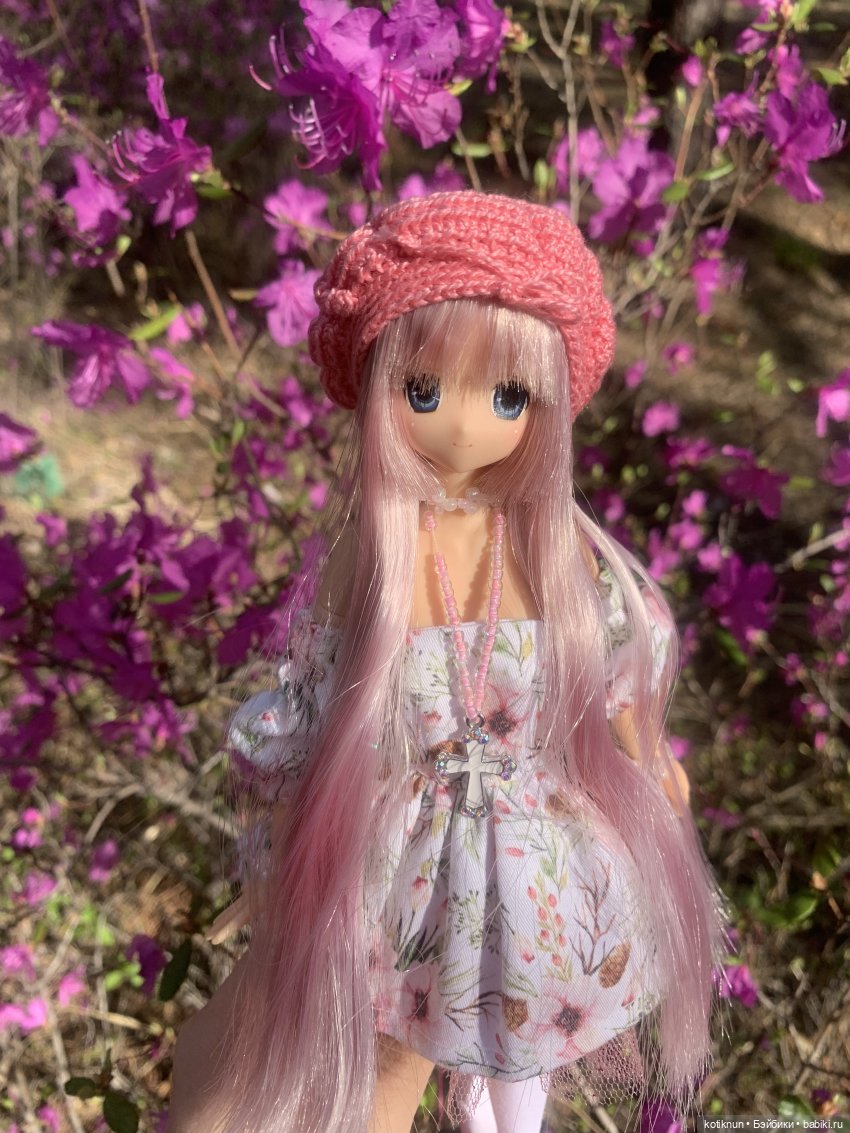 Читинский даурский багульник и azone Сара (фото 6)