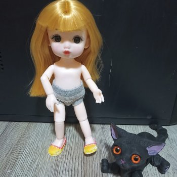 Путешествие Оливки