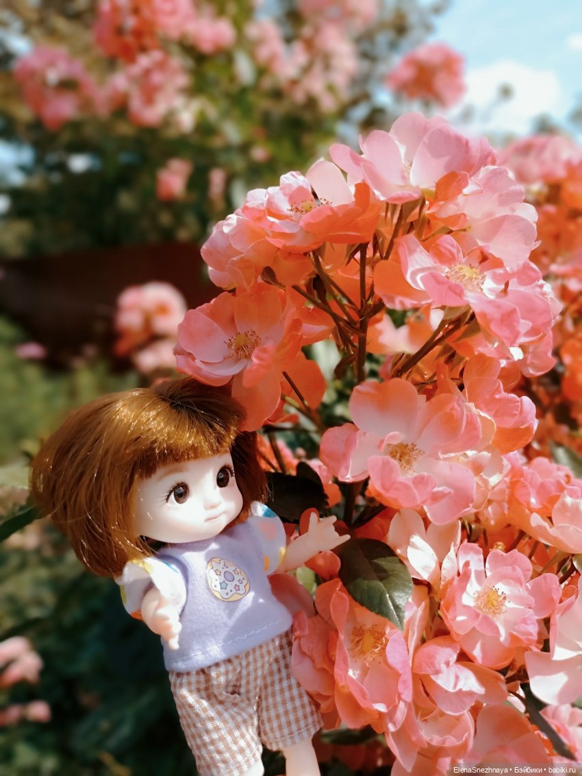 Вот и лето проходит — Куклы Baboliy (Баболи (фото 3)