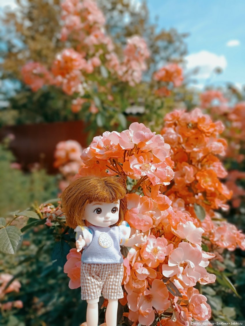Вот и лето проходит — Куклы Baboliy (Баболи (фото 4)
