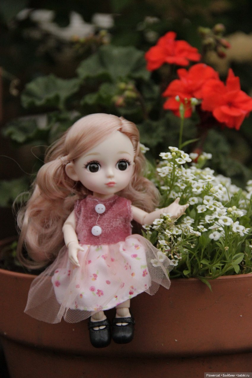 Фея незабудок или как Флорина первый раз гуляла (фото 2)