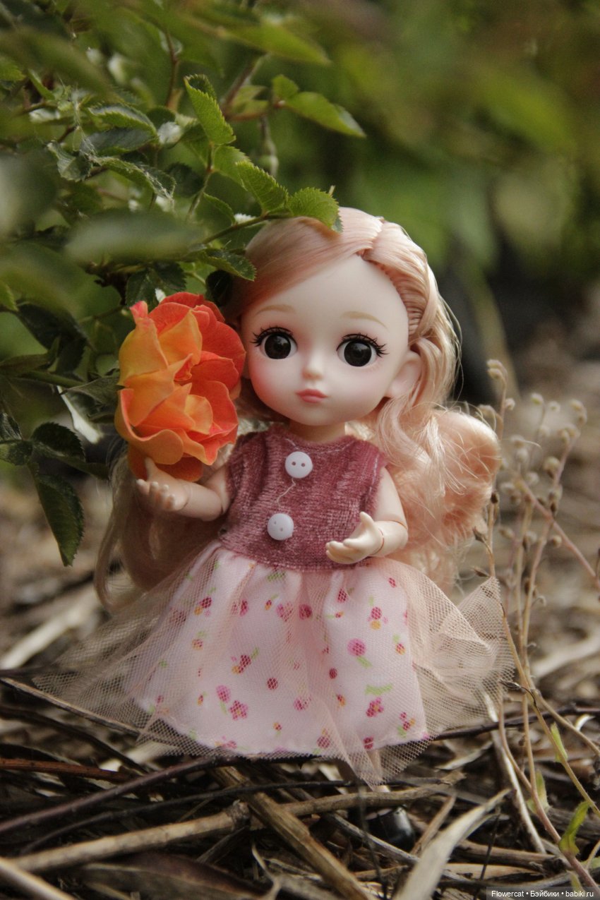 Фея незабудок или как Флорина первый раз гуляла (фото 3)