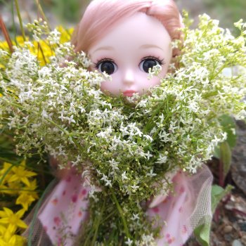 Прогулка на озеро.