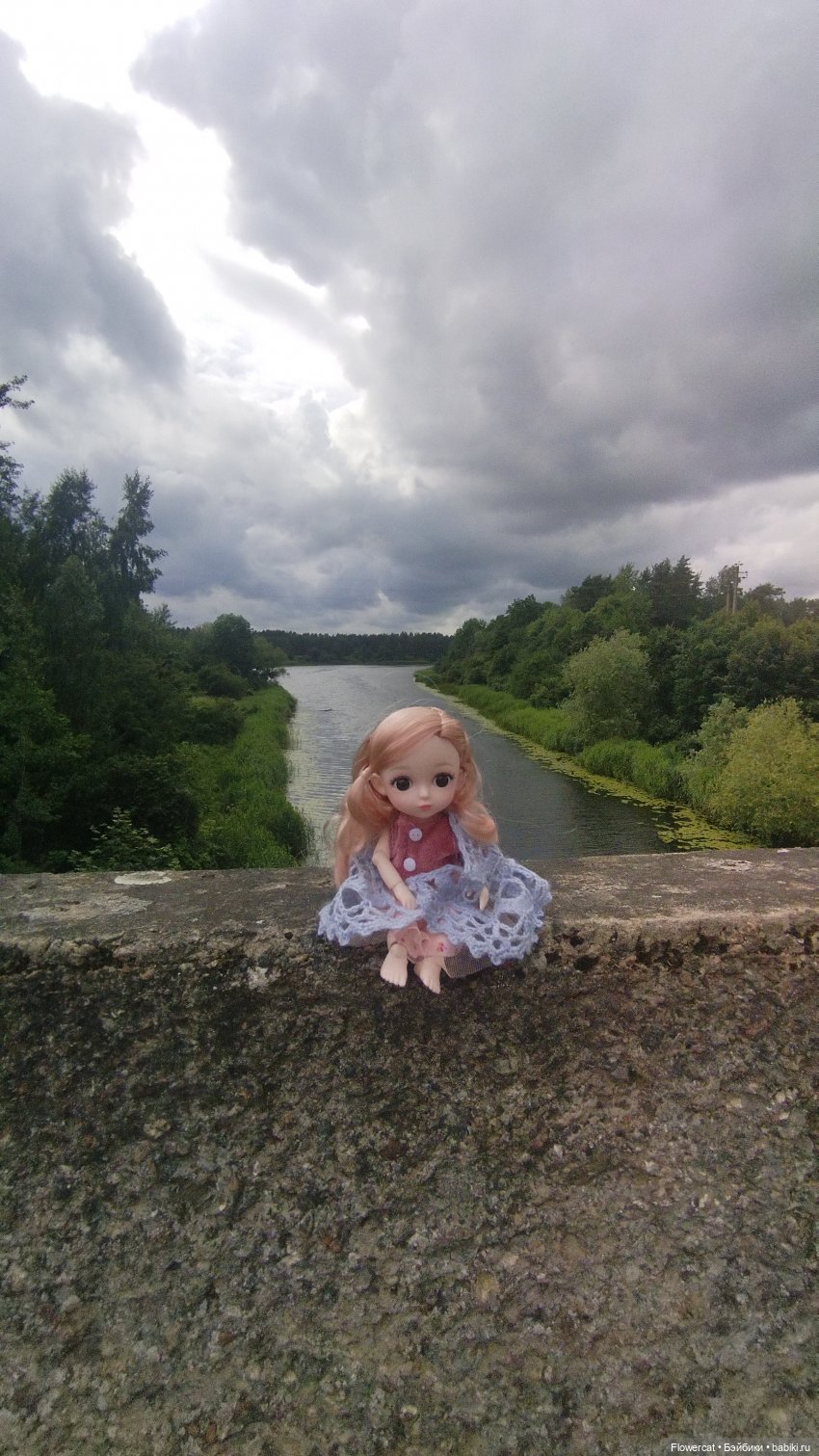 Прогулка на озеро — Разные шарнирные куклы (не БЖД): редкие (фото 5)