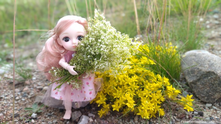 Прогулка на озеро — Разные шарнирные куклы (не БЖД): редкие (фото 9)