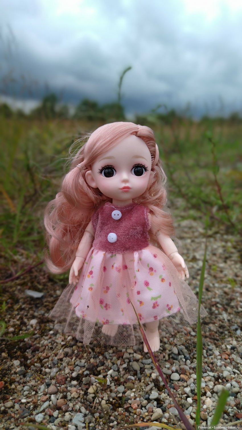 Прогулка на озеро — Разные шарнирные куклы (не БЖД): редкие (фото 6)