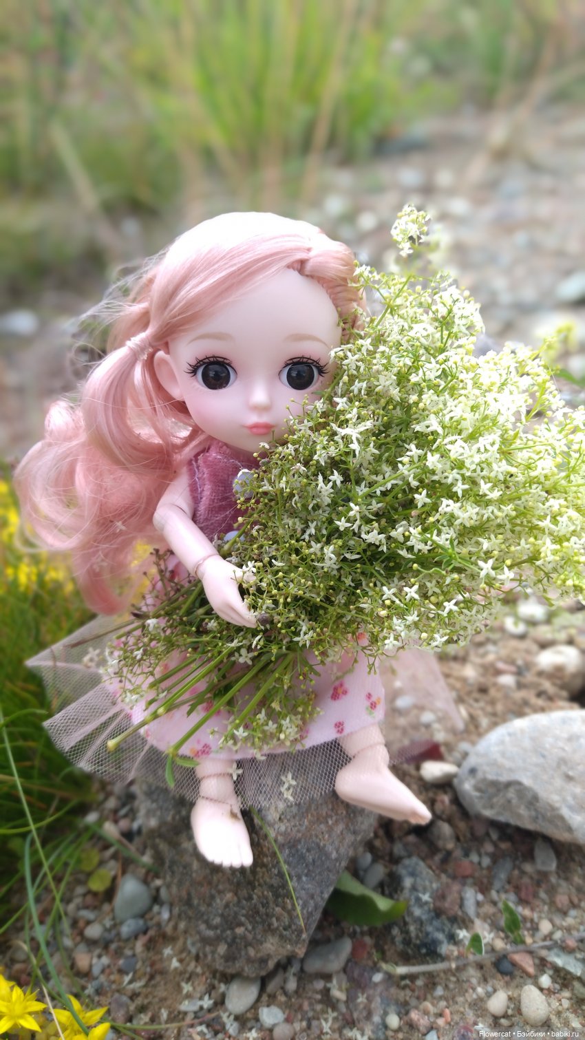 Прогулка на озеро — Разные шарнирные куклы (не БЖД): редкие (фото 8)