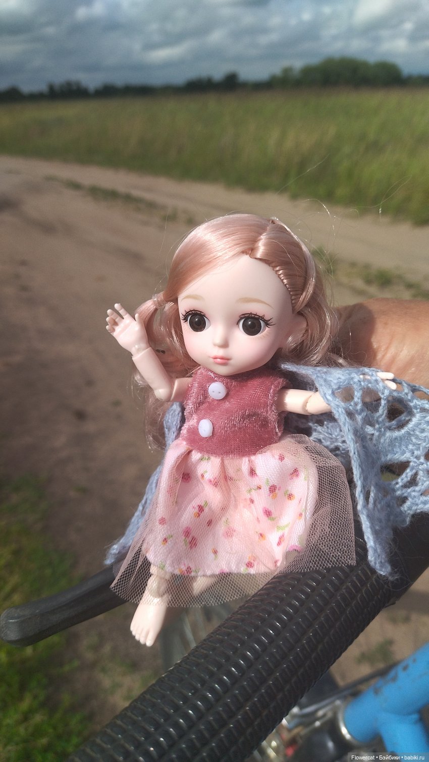 Прогулка на озеро — Разные шарнирные куклы (не БЖД): редкие