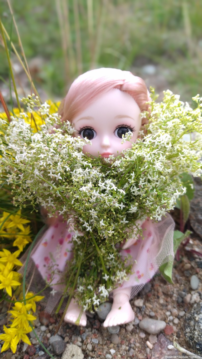 Прогулка на озеро — Разные шарнирные куклы (не БЖД): редкие (фото 7)