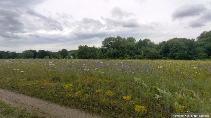 Прогулка на озеро — Разные шарнирные куклы (не БЖД): редкие (фото 3)