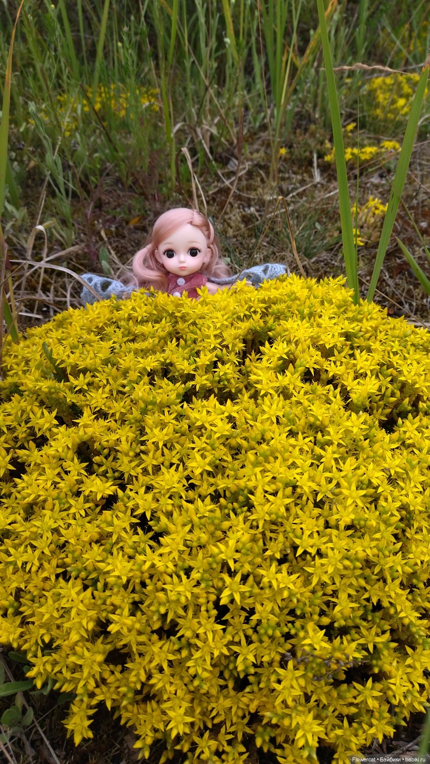 Прогулка на озеро — Разные шарнирные куклы (не БЖД): редкие